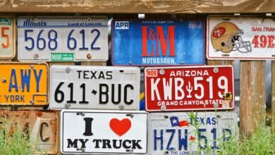 vehicle registration number list