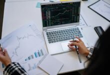 top beginner stock picks