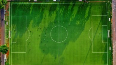 activity identifiers overview provided