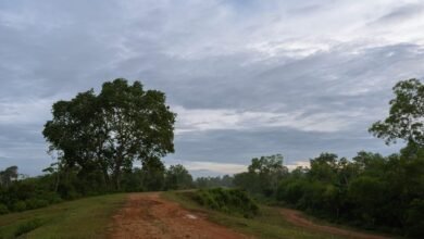 multi region identifier report