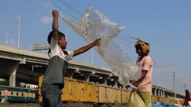 network activity data overview