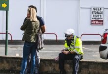 regulatory status report summary