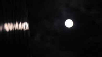 risk assessment for entities