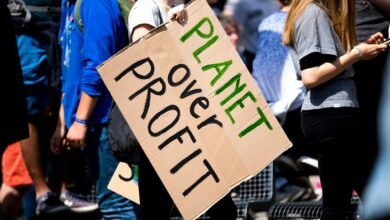 cosmic profit beam path