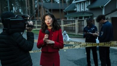 investigation report details public