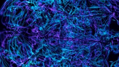 quantum neural beam technology