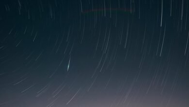 radiant strategic loop orbit