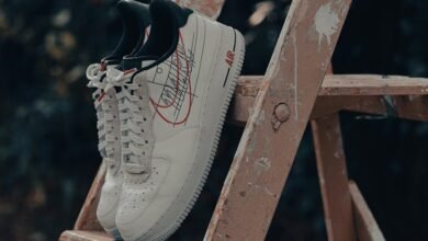 titan flow ladder model