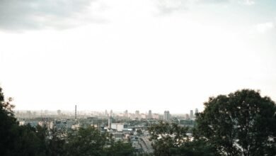 unique conversion advantage horizon