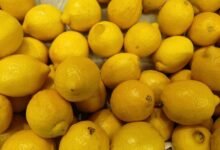 food call houzipantinky features benefits uses