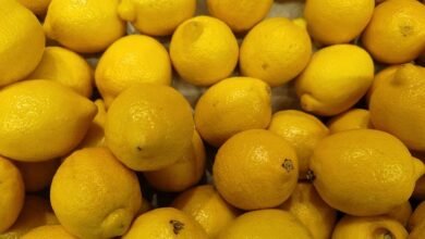 food call houzipantinky features benefits uses