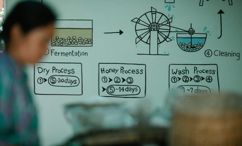 how zimslapt2154 functions significance