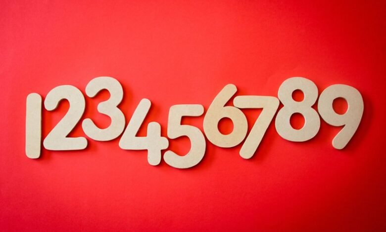 phone number 518 587 9300 details