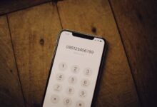 phone number highlights 8444387968