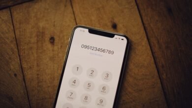 phone number highlights 8444387968